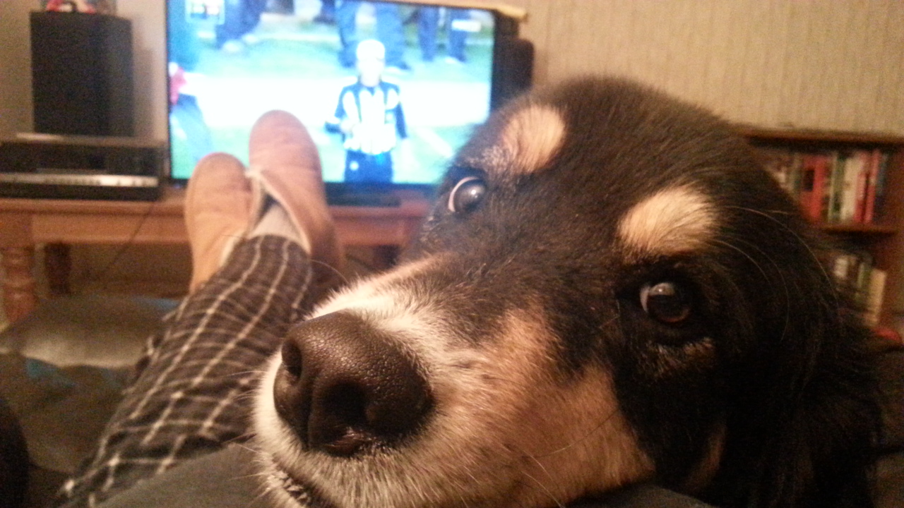 Rocky & Me watching the Packers - January 2016